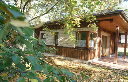 Białe Brenno - Foto 26