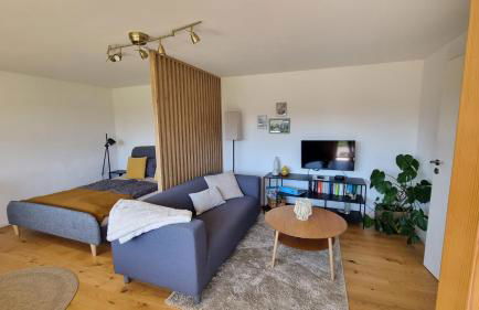 Traumhafte Gartenwohnung in Überlinger Hanglage - Zur goldenen Kiwi - Foto 3