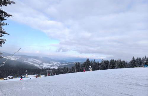 Ferienwohnung Maggie - Sankt Englmar - Foto 40