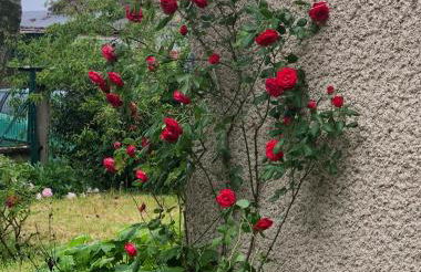 Gîte de Pampe Lune & Spa - Foto 10