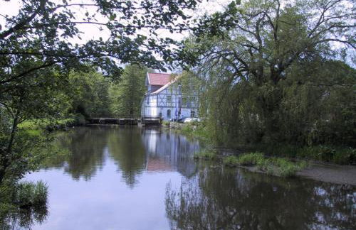 Wipperaublick in der Oldenstädter Wassermühle - Foto 19