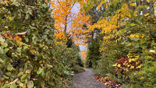 Ruhrtalblick Apartments - Auszeit mit Ausblick - Foto 3, Garden, Garden view