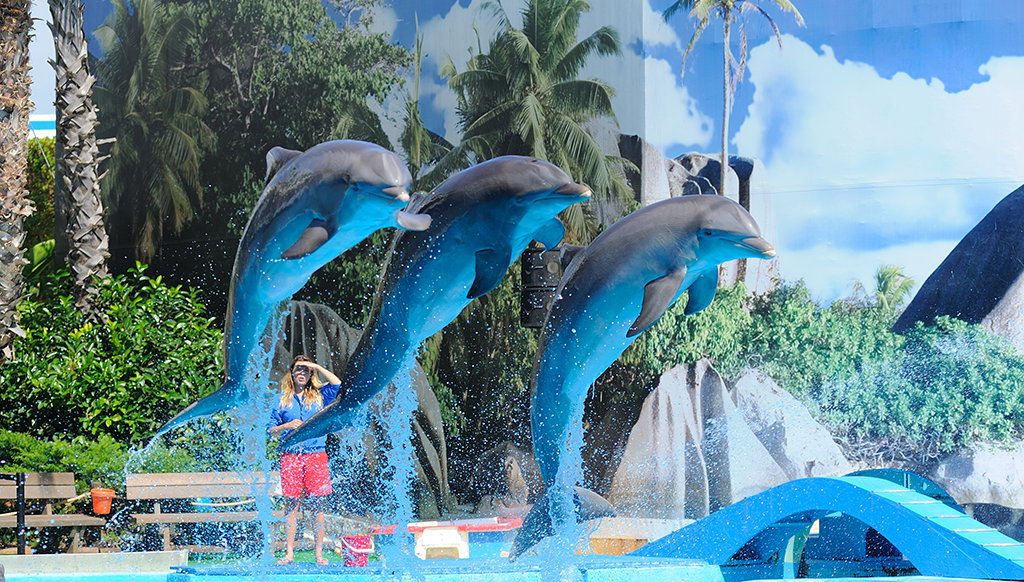 Zoomarine theme park - 2 Days ticket only - Photo 1