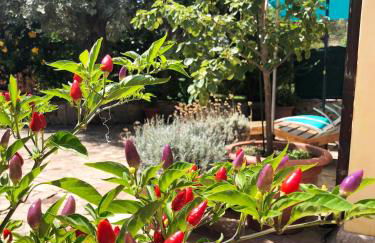 Mare Turchese - Foto 35