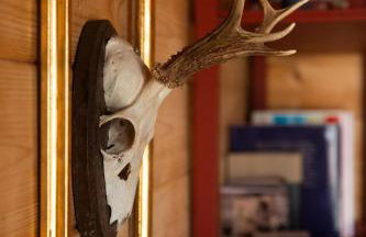 Glampinghütte Georgenthal - Foto 5