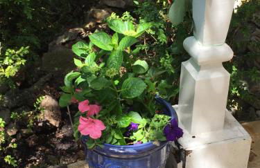 Les 4 mousquetaires - Photo 27