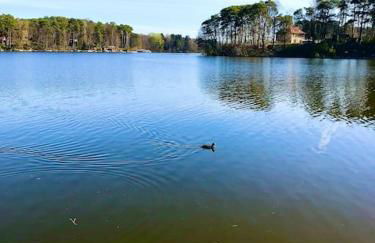 FEWO PARTNERS Haus Clemens - Gemütliches Holzhaus mit Grundstück nahe Badesee - Photo 40