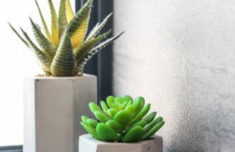 Bayhurst - Bracklesham Bay - Foto 47