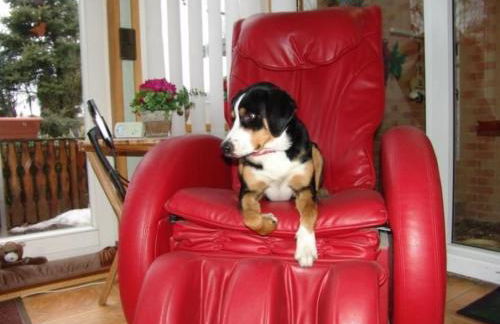 Apartment Spree Idyll by Interhome - Foto 23