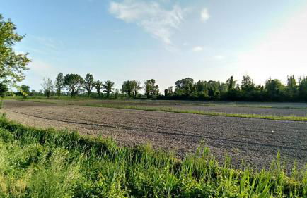 Residence Stradella Verde - Photo 19