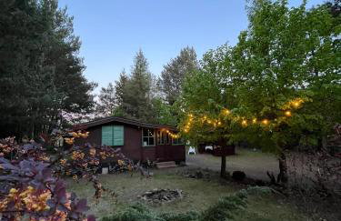 Leśny Zakątek - Foto 37