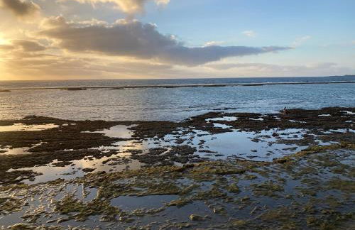 Ikigai Las Canteras - Foto 49