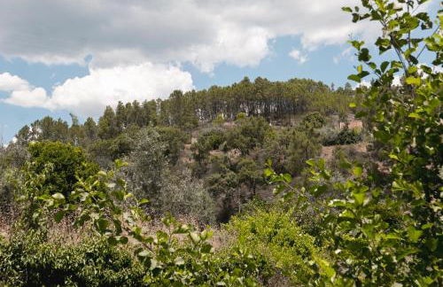 Casa Penafalcão - Foto 22