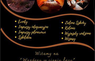 Wzgórze w Cieniu Lasu - Photo 16