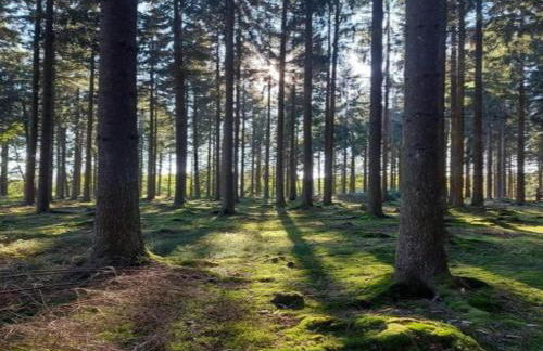 Quaint Bungalow Near Insel Poel With Garden - Foto 78
