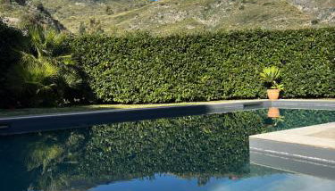 Villa Almond - Foto 4