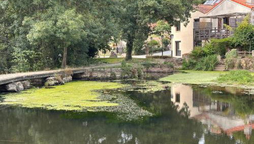 La Terrasse du Buchet - Foto 2
