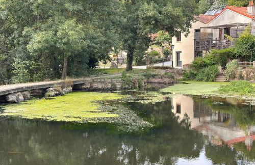 La Terrasse du Buchet - Photo 2