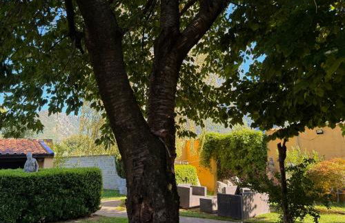 Casa Ciccio - Foto 18