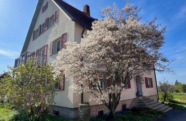 Ferienwohnung auf Biohof Gutso - Foto 22