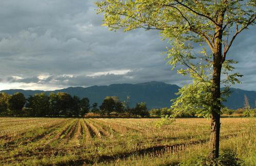 Affitto breve Bassano del Grappa Casa Corrado - Photo 30