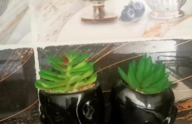 Casa dei fiori - Foto 31