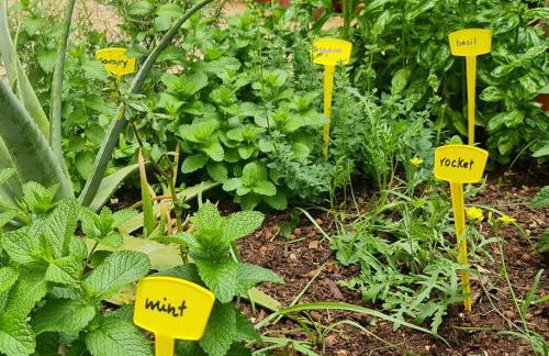 Casa do Garajau 304 - Foto 27