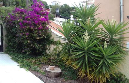 Chalet en Alcossebre - Photo 29