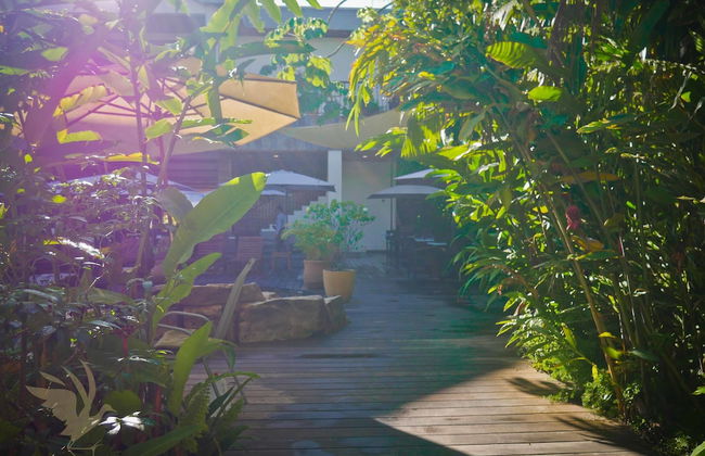 Jacana Amazon Wellness Resort - Photo 66