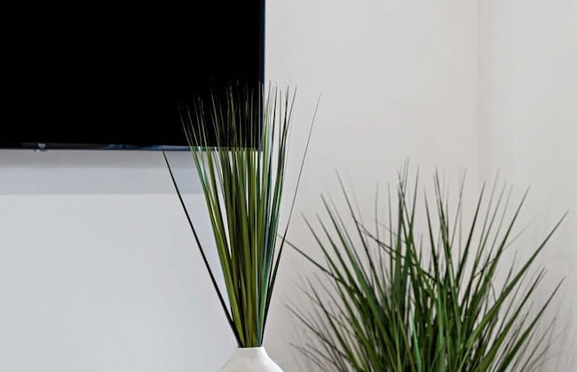 Spacious 2 BR Sailboat Bend - Photo 5