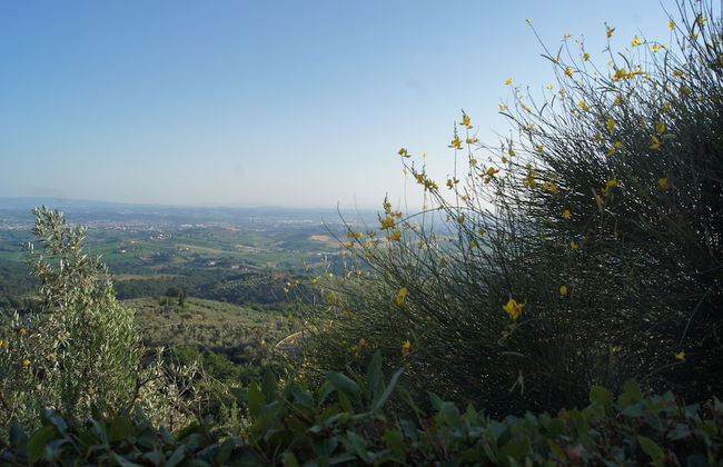 Colle Da Vinci - Photo 43