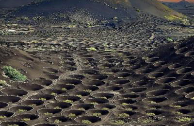 Casa Vilas - Foto 45