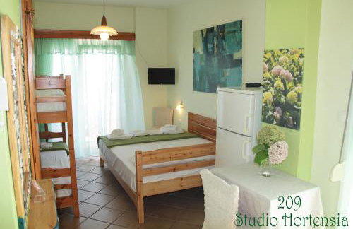 Fasoli Studios - Foto 41