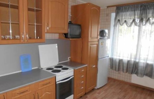 Apartment on Kholodilnaya 116 - Foto 6