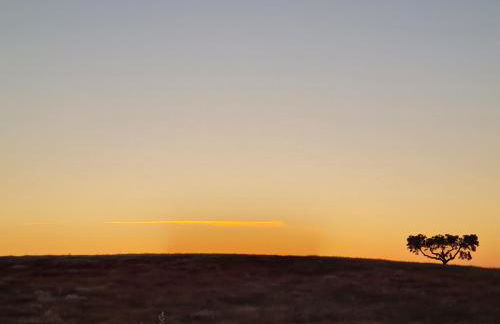 Monte do Arneiro - Foto 62