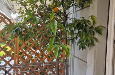 Garden & Pool Perugini - Foto 21