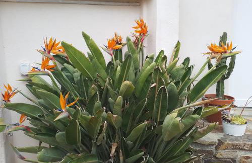 Le Logis du Moulin Gîte avec Jacuzzi, à 800m de la Cité Médiévale - Foto 24