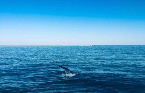 Entire Apartment in heart of Lincoln Park & Lake Sea and beach - Foto 18