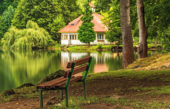 Mogosa Village - Foto 16