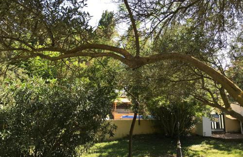 Résidence les Caraibes - Foto 62