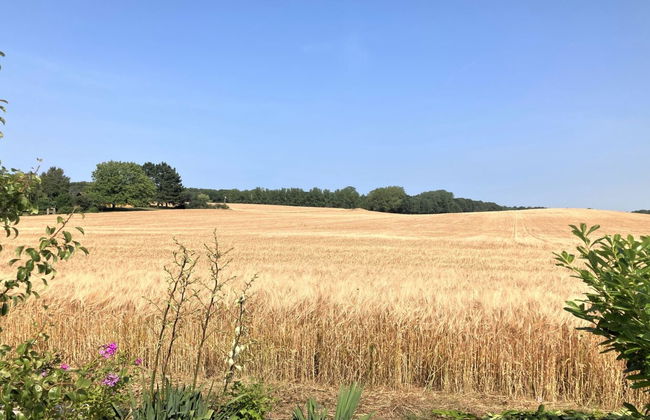 "Asya" - 600m from the sea - Foto 6