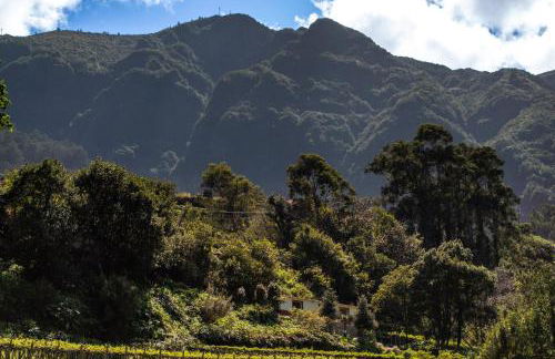 Casas do Lanço by An Island Apart - Foto 79