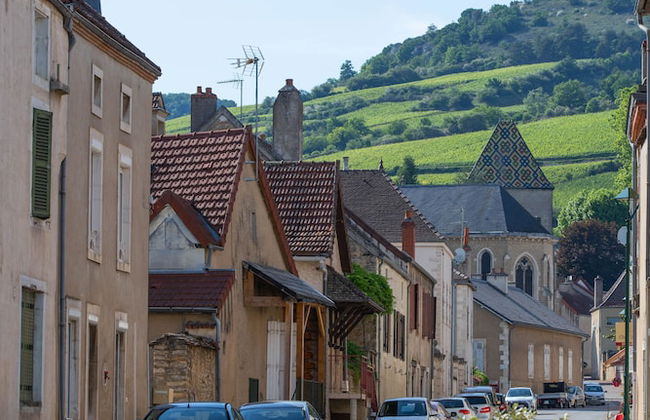 Les Sarments ***** - Beaune - Foto 29