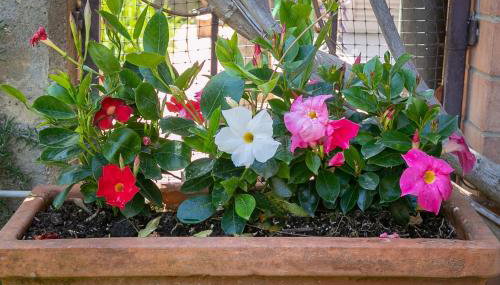 Residence Valle Fiorita - Foto 4