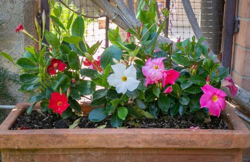 Residence Valle Fiorita - Foto 4