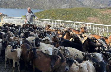 Casa do Beija - Foto 80