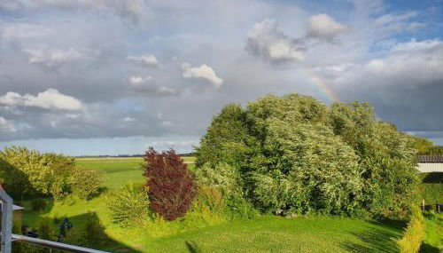 Habbo's Kojen - Photo 4, Garden