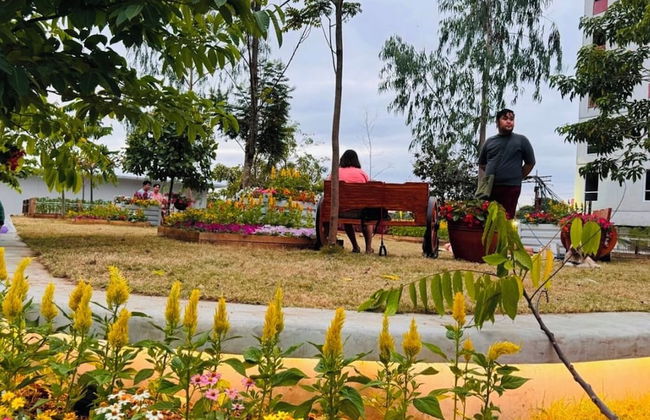 Pandora's Nest - Foto 58