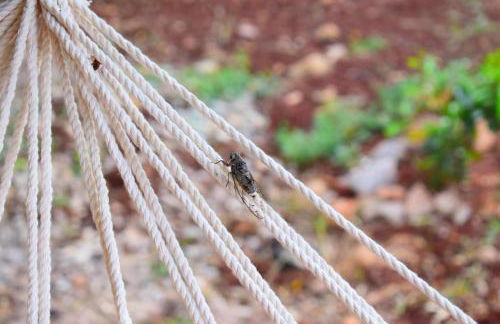 Anna's Stone House - Foto 43