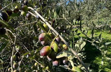 Casale La Quercia - Foto 49